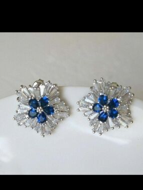 Silver-Tone Blue Crystal Floral Cluster Earrings - Women Jewelry